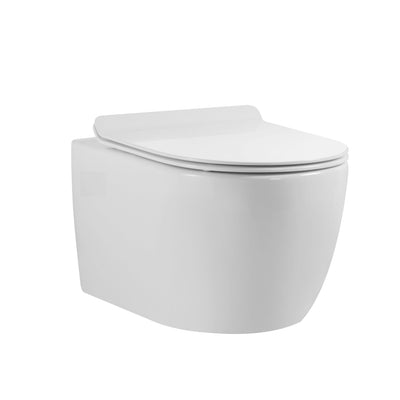 Wall-Hung Toilet With In-Wall Carrier