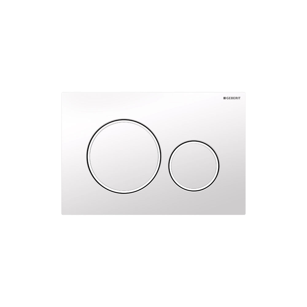 Wall-Hung Toilet With In-Wall Carrier