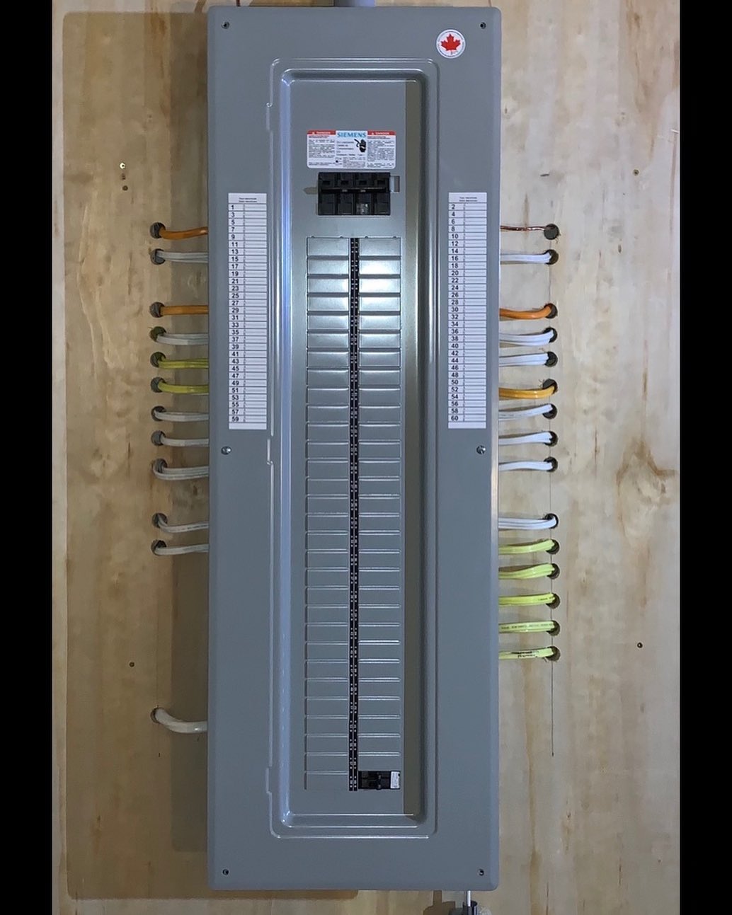 Electrical Panels Installed with Proper Wiring, Load Management, and ESA Compliance