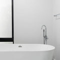 Bathtub Filler with Hand Shower