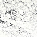 Arabescato White quartz countertop detail - TF Renovations Mississauga