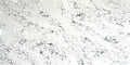 Arabescato White quartz countertop slab - TF Renovations Mississauga