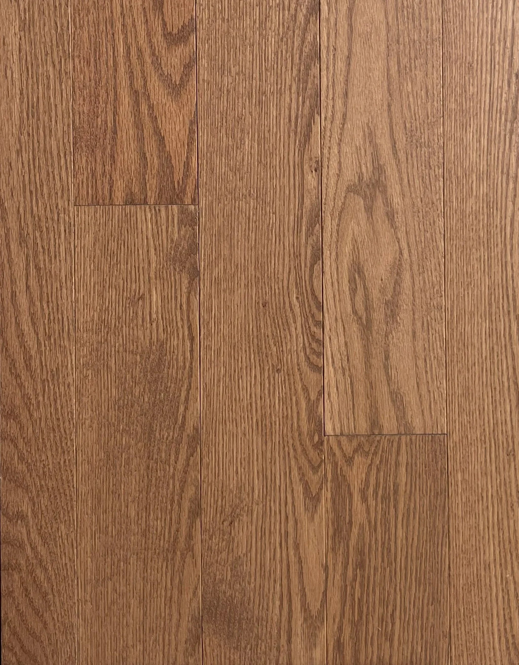 Golden Oak Solid Hardwood Flooring plank with warm golden-brown smooth finish – TF Renovations Mississauga