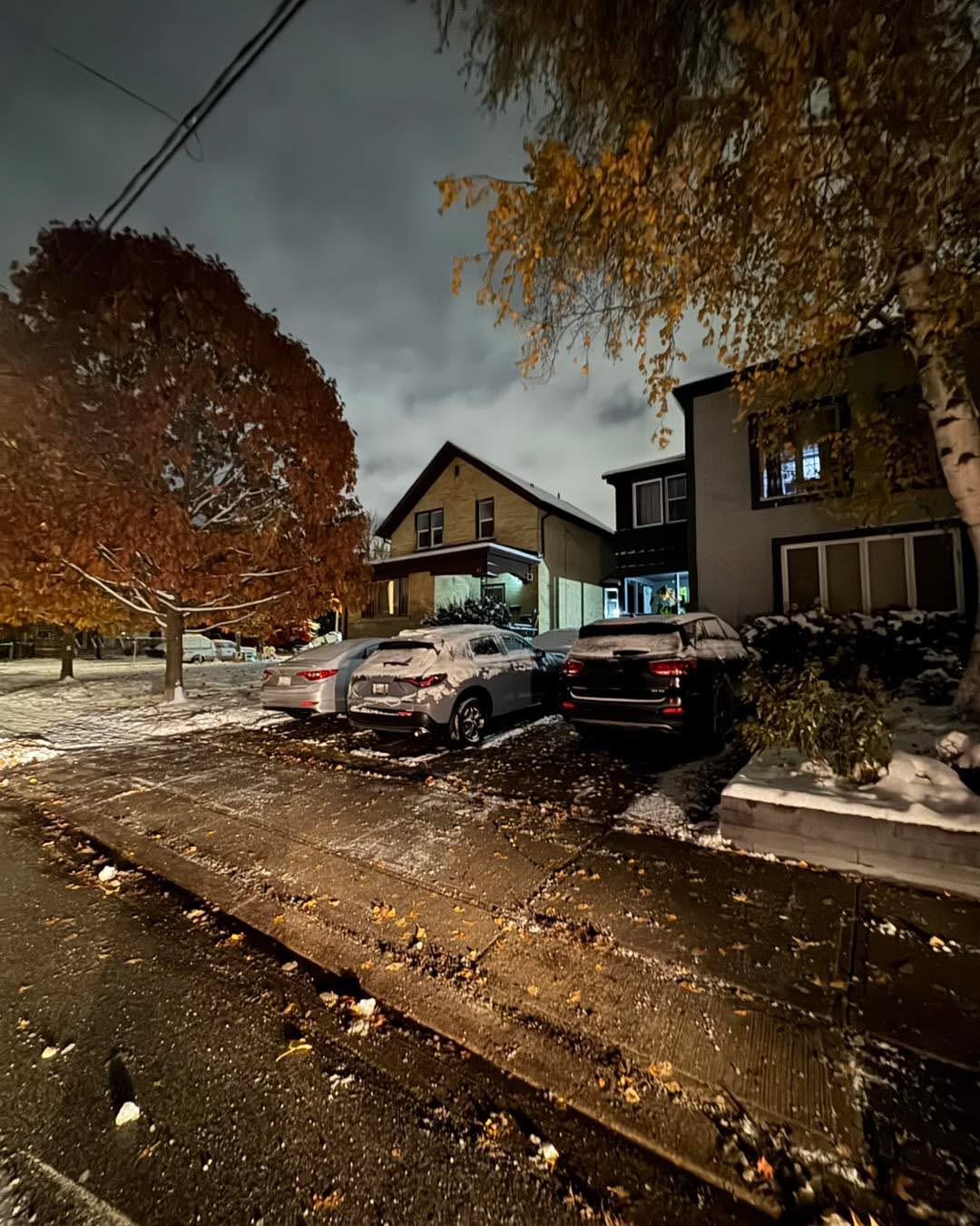 Do You Respond Quickly After Snowfall?