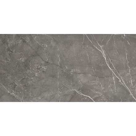 Close-up of durable matte finish on Carbon Slate Porcelain Tile for high-traffic floors in Milton homes