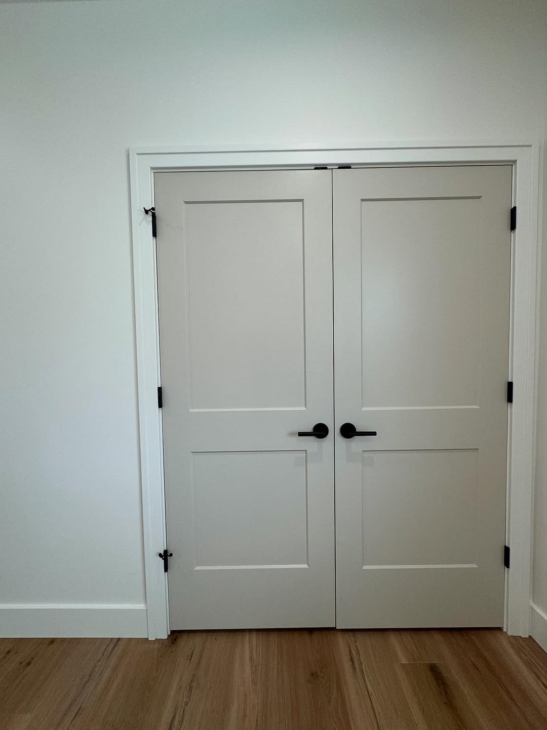 Door & Trim Painting