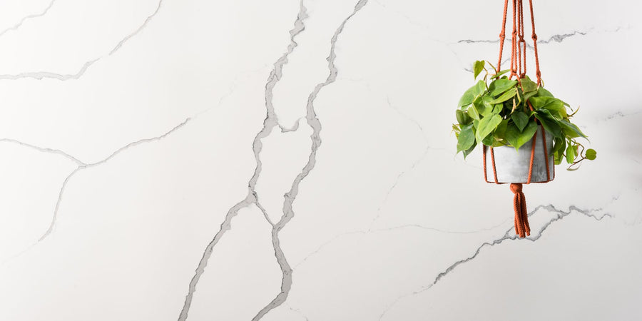 Statuario Caldia quartz countertop slab - TF Renovations Mississauga