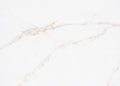 Calacatta Oro quartz countertop detail - TF Renovations Mississauga