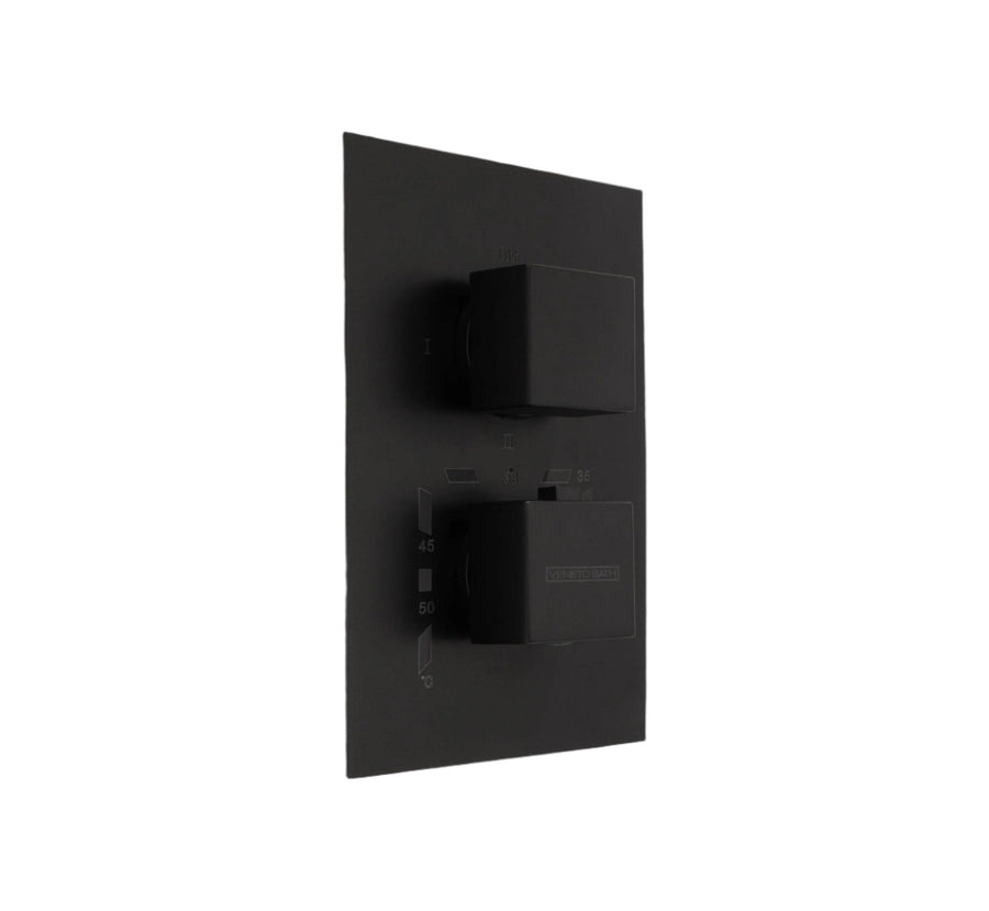 2/3 Function Thermostatic Square Mixer Matte Black