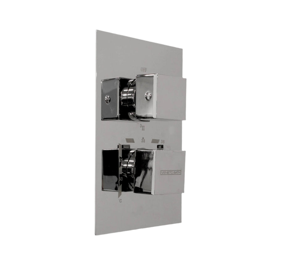 2/3 Function Thermostatic Square Mixer Chrome